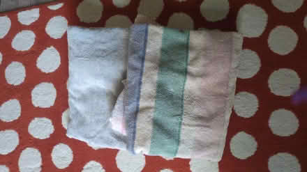 Photo of free Two bath towels (Allston) #1