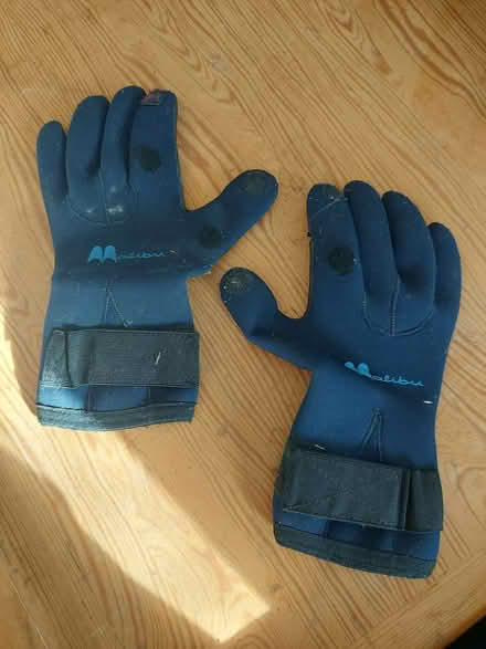 Photo of free Medium neoprene gloves (Cutteslowe OX2) #4