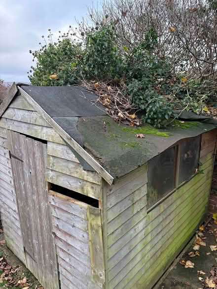 Photo of free SHED 6 x 8 (Corfe Mullen BH21) #2