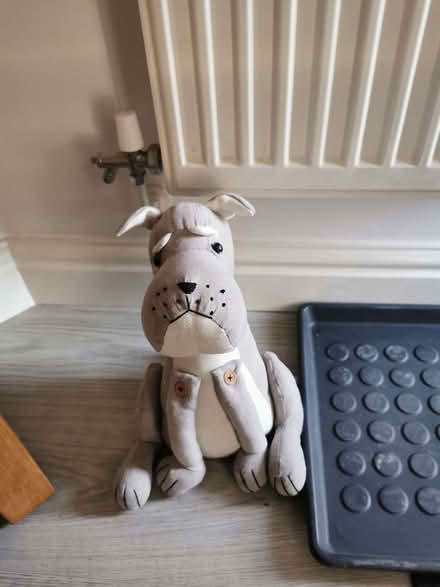 Photo of free Door stop (Trennick TR1) #1