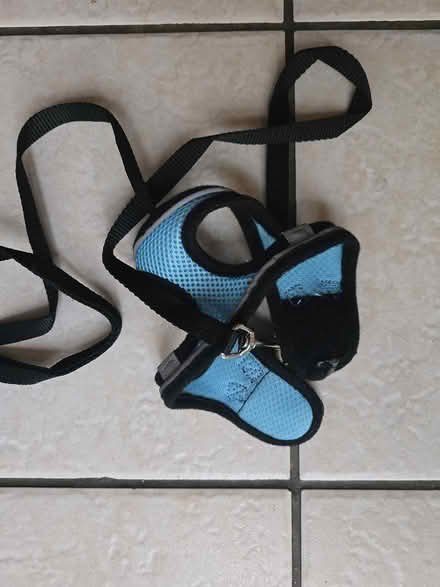 Photo of free Cat harness (IG6 3s) #1