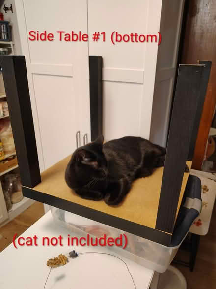 Photo of free Black Coffee, Side Tables, TV Cart (Palm Harbor US 19 by Alderman) #3