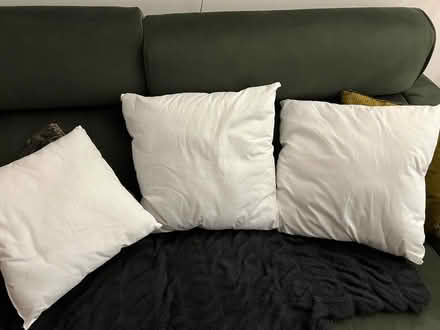 Photo of free Cushion pads (Mornington Crescent NW1) #1