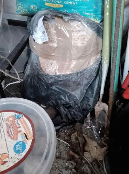 Photo of free Wild bird seed (Heysham LA3) #1