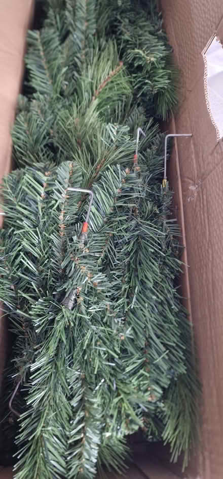 Photo of free Christmas tree (Tapton S41) #1
