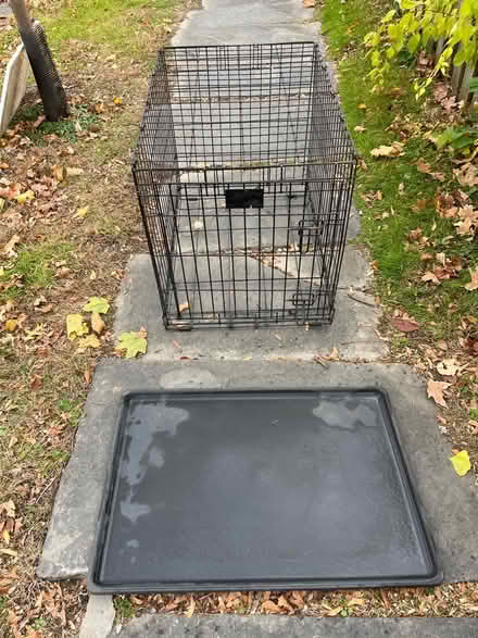 Photo of free Dog crate black wire (Rhinebeck village) #2