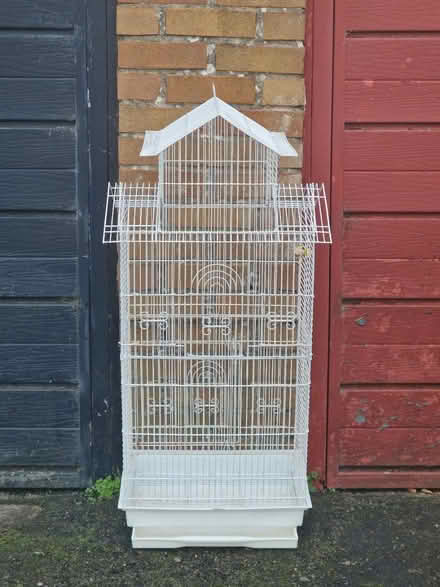 Photo of free Bird cage (BS39) #2