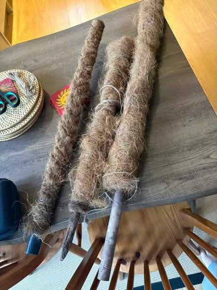 Photo of free Three Moss Poles (RG1) #1