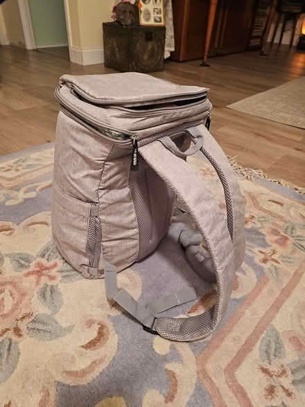 Photo of free Cooler backpack (Stoneham) #2