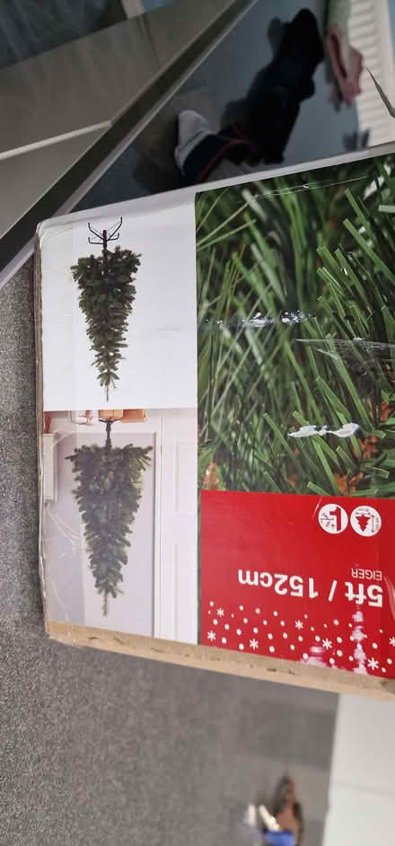 Photo of free Christmas tree (Tapton S41) #2