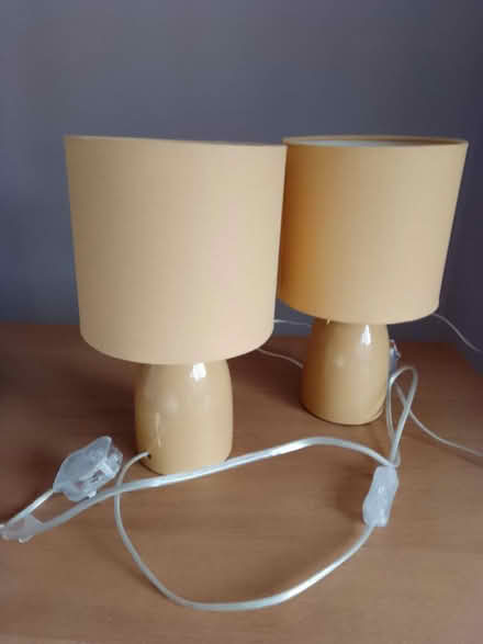 Photo of free Lampshade & pair of bedside lamps (Moreton Hall BSE) #2