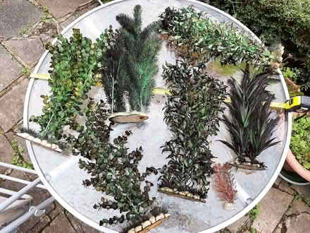 Photo of free Plastic Aquarium Plants (Woodford IG8) #3