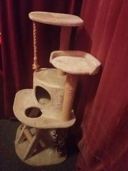 Photo of free cat tree (G20 Glasgow Maryhill) #3