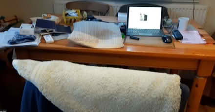 Photo of free Pine table (Knighton LD7) #1