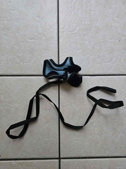 Photo of free Cat harness (IG6 3s) #2