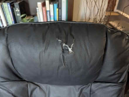 Photo of free Office chair (Shoreline, Alameda) #4