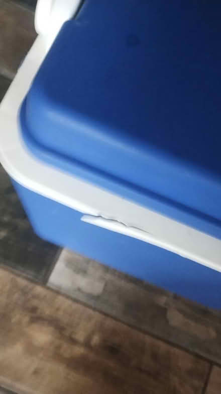 Photo of free Cool box and 4 ice blocks (Allesley CV5) #2