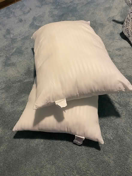Photo of free Two king size pillows (East Palo Alto) #1