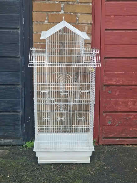 Photo of free Bird cage (BS39) #1