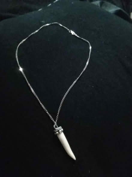 Photo of free Real Siver Chain n pendant (LS9 0NH) #1