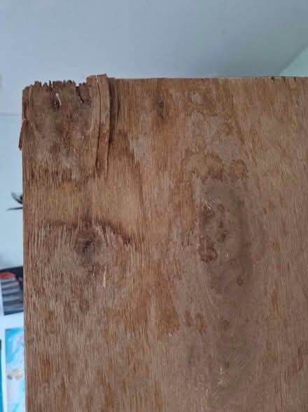 Photo of free Large Ply-type board (Wigmore HR6) #2