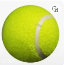 Photo of Tennis Balls (Kitchener) #2