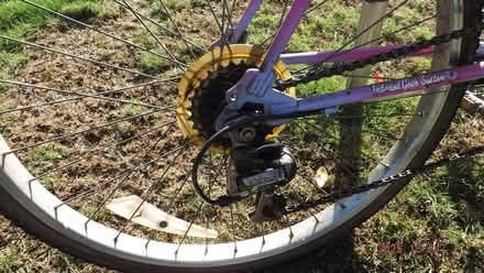 Photo of free Bike (Felixstowe IP11) #3