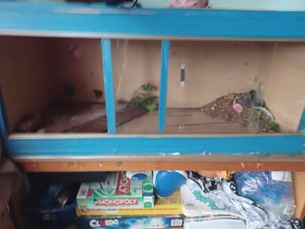 Photo of free Vivarium/ tank 3 foot (Tilehurst RG30) #1