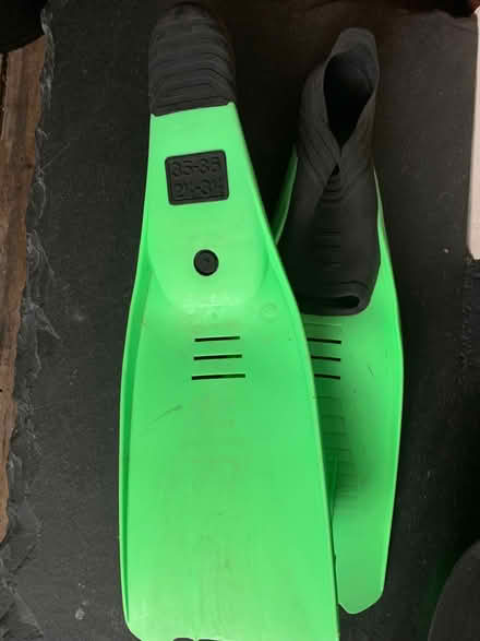 Photo of free Flippers (Booker HP12) #2