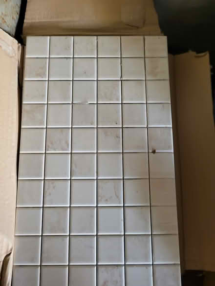 Photo of free Wall Tiles (Cheslyn Hay WS6) #1