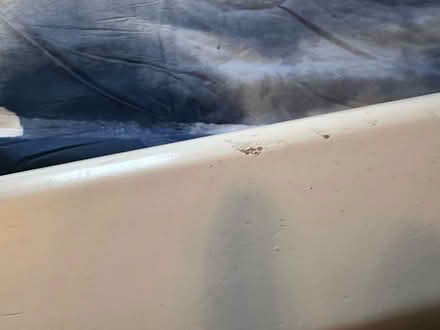 Photo of free Single bed & mattress (Forest Gate, E7) #4