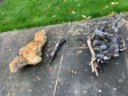 Photo of free Wood, for bonfires this weekend? (Harrogate HG1) #1