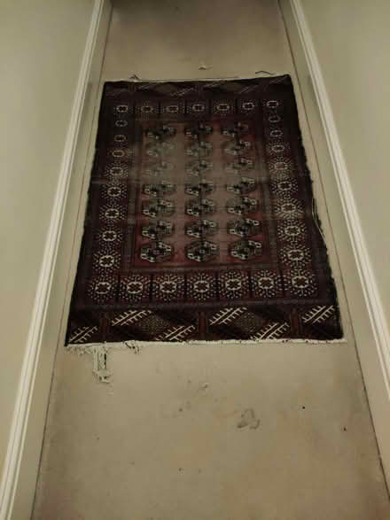 Photo of free Rug (Jericho OX2) #4