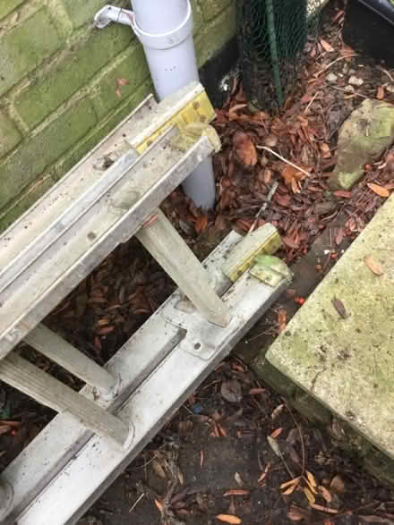 Photo of free aluminium double ladder 15 rung x2 section (South Malling BN7) #2