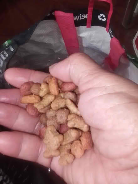 Photo of free Doggy Vittles 10031 (Hamilton Heights 10031) #2