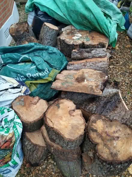 Photo of free Pear wood (Palmers Green N13) #2