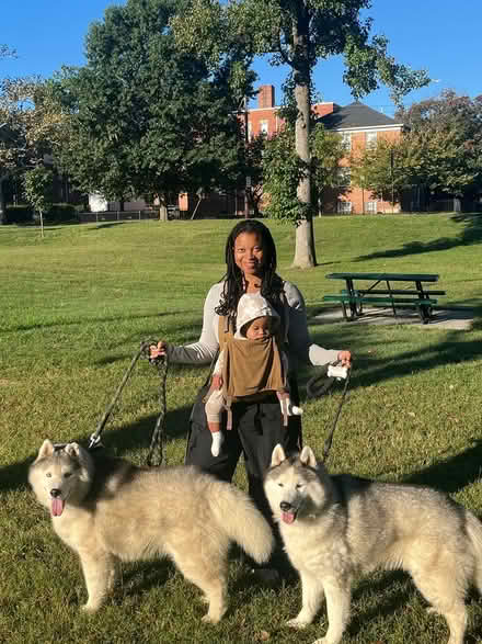 Photo of Insulated Movers Blankets (Washington, DC) #1