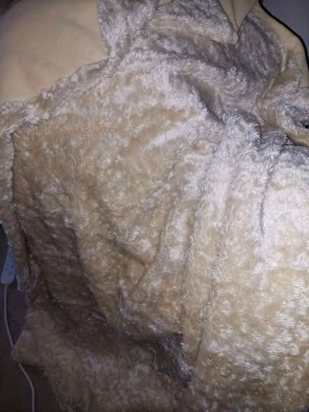 Photo of free fur blanket (Chatham ME4) #3