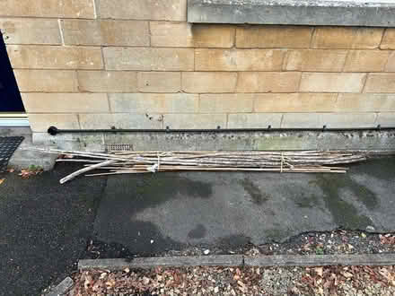 Photo of free Bean poles (Odd down, bath) #1