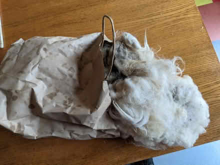 Photo of free Sheep's wool for spinning (sandycove recycle depot) #1