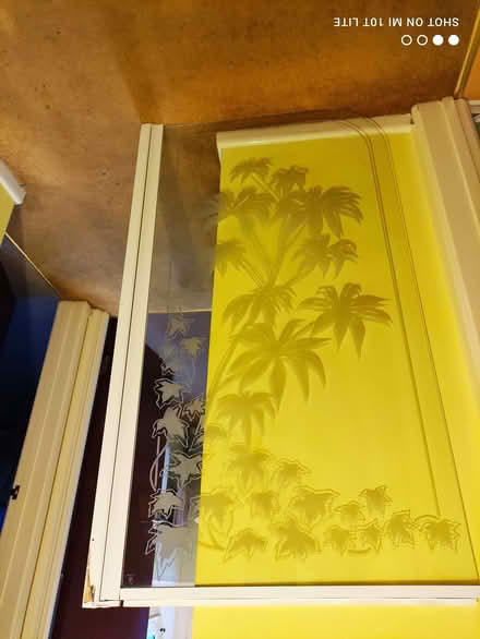 Photo of free Bath/Shower Screen (Saint Leonards Ward EX2) #3