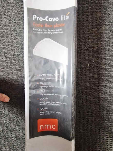 Photo of free Pro cove - coving (Fishponds) #2