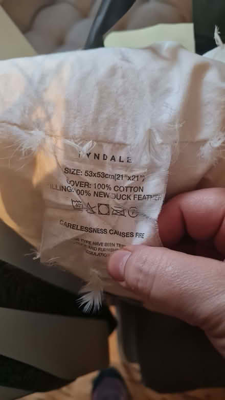 Photo of free Feather Cushion pad insert 21" /53cm (Grangetown CF11) #2