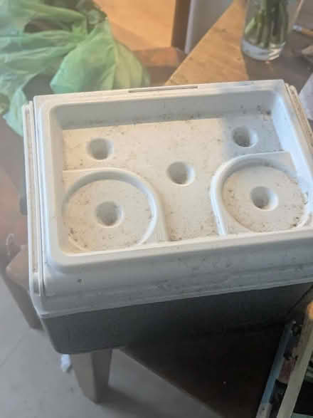 Photo of free Coleman cool box and coffee cup holder. (Earlham NR4) #3