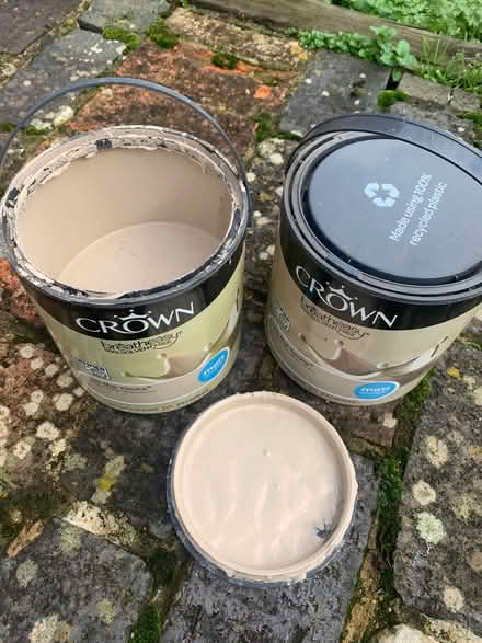Photo of free Crown matt emulsion paint (Hook Norton OX15) #1