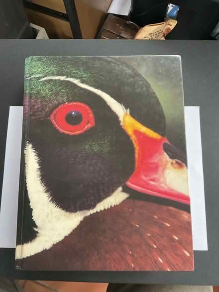 Photo of free Biology Hardback (RG30 Tilehurst) #1