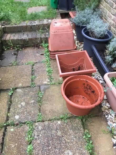 Photo of free various sized mixed plant boxes, a few of each size. (South Malling BN7) #1
