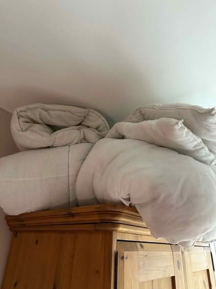 Photo of free Thick double quilt (CH61) #1