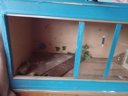 Photo of free Vivarium/ tank 3 foot (Tilehurst RG30) #2