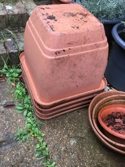 Photo of free various sized mixed plant boxes, a few of each size. (South Malling BN7) #2